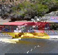 Kalgan Queen Scenic Cruises a four hour sheltered water wildlife tour daily fun. - Great Ocean Road Tourism