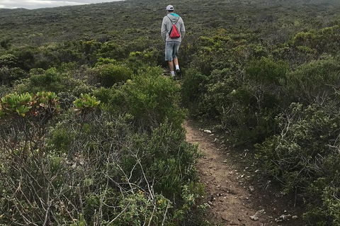 Cape To Cape Track Hike And Winery Tour - Great Ocean Road Tourism 10
