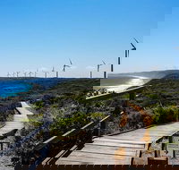 Torndirrup National Park and Bay Highlights - Great Ocean Road Tourism