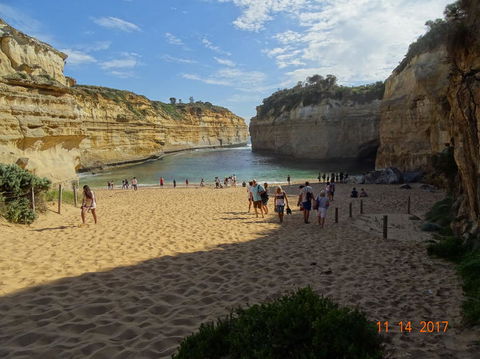 Great Ocean Road Small-Group Ecotour From Melbourne - Great Ocean Road Tourism 23