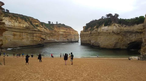 Great Ocean Road Small-Group Ecotour From Melbourne - Great Ocean Road Tourism 20