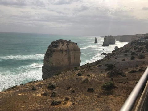 Great Ocean Road Small-Group Ecotour From Melbourne - Great Ocean Road Tourism 14