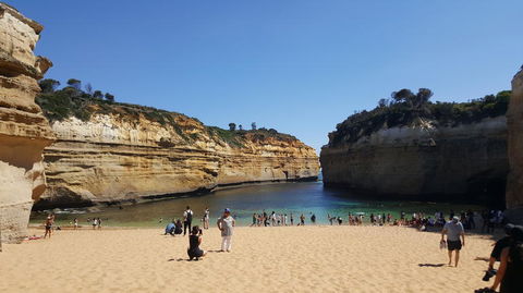 Great Ocean Road Small-Group Ecotour From Melbourne - Great Ocean Road Tourism 19