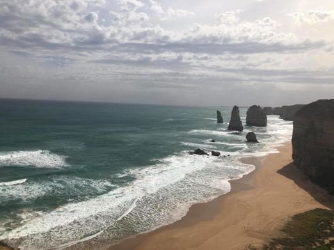Great Ocean Road Small-Group Ecotour From Melbourne - Great Ocean Road Tourism 15