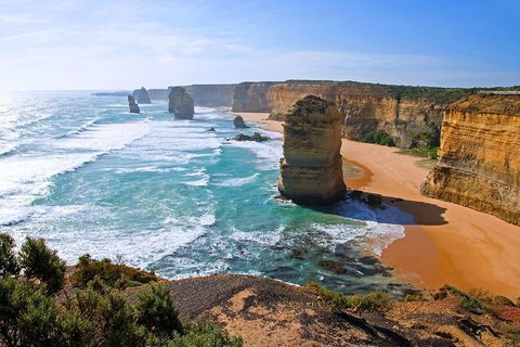 Great Ocean Road Small-Group Ecotour From Melbourne - Great Ocean Road Tourism 0