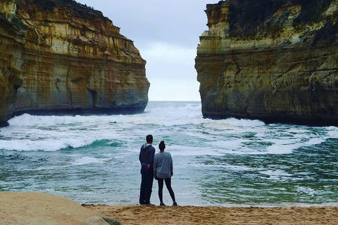 Great Ocean Road Small-Group Ecotour From Melbourne - Great Ocean Road Tourism 29