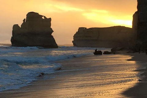 Great Ocean Road Small-Group Ecotour From Melbourne - Great Ocean Road Tourism 33