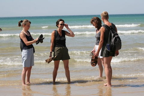 Great Ocean Road Small-Group Ecotour From Melbourne - Great Ocean Road Tourism 34