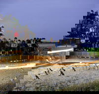 1 Day Private Phillip Island Tour VIP Charter up to 9 People - Great Ocean Road Tourism