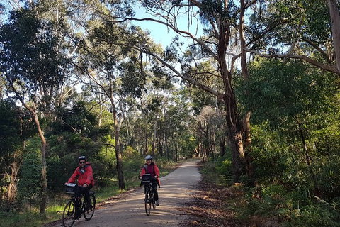 Great Southern Getaway Cycle Tour - Great Ocean Road Tourism 8