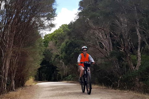 Great Southern Getaway Cycle Tour - Great Ocean Road Tourism 4