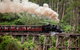 Melbourne Combo: Great Ocean Road, Puffing Billy, Moonlit Sanctuary & Penguins - thumb 0