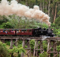 Melbourne Combo Great Ocean Road Puffing Billy Moonlit Sanctuary  Penguins - Great Ocean Road Tourism