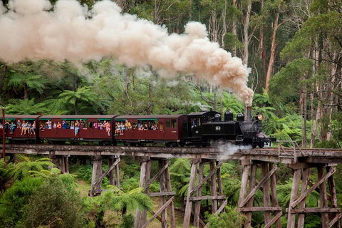 Melbourne Combo: Great Ocean Road, Puffing Billy, Moonlit Sanctuary & Penguins - Great Ocean Road Tourism 2