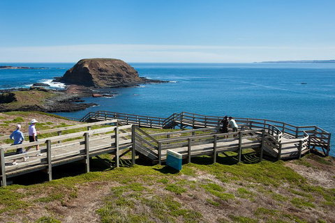 Melbourne Combo: Great Ocean Road, Puffing Billy, Moonlit Sanctuary & Penguins - Great Ocean Road Tourism 3