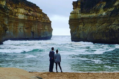 Melbourne Combo: Great Ocean Road, Puffing Billy, Moonlit Sanctuary & Penguins - Great Ocean Road Tourism 6