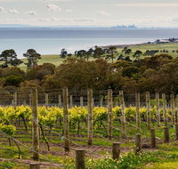 Bellarine Peninsula Small Group Wine Tour with 2 Course Lunch and Morning Tea - Great Ocean Road Tourism