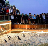 Small-Group Phillip Island Day Trip from Melbourne - Great Ocean Road Tourism