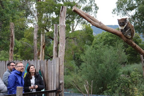 Yarra Valley Wildlife Express (Private Tour) - Great Ocean Road Tourism 0