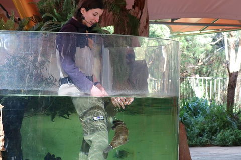 Yarra Valley Wildlife Express (Private Tour) - Great Ocean Road Tourism 1