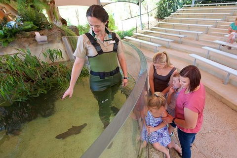 Meet A Platypus At Healesville Sanctuary - Great Ocean Road Tourism 1