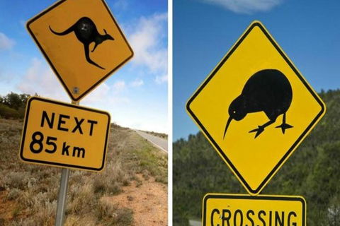 Aroha Tangata Australia And New Zealand 20 Day - Great Ocean Road Tourism 0