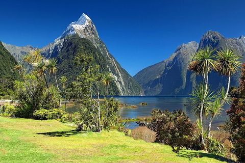 Aroha Tangata Australia And New Zealand 20 Day - Great Ocean Road Tourism 1