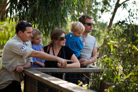 Phillip Island 3 Park Pass: Penguin Parade, Koala Conservation Centre And Penguin Parade, Koala ConservationHeritage Farm - Great Ocean Road Tourism 0