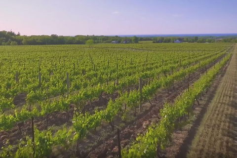 Macedon Ranges Small Group Wine Tour With 2 Course Lunch And Morning Tea - Great Ocean Road Tourism 1