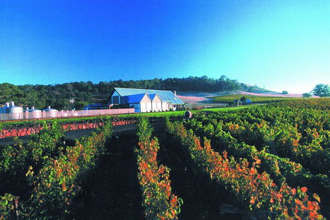 Macedon Ranges Small Group Wine Tour With 2 Course Lunch And Morning Tea - Great Ocean Road Tourism 4