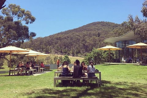 CHEVY CONVERTIBLE Package For 2 People- Wine Lunch Cheese & Chocolate From Melb. - Great Ocean Road Tourism 6