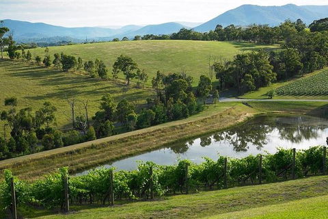 CHEVY CONVERTIBLE Package For 2 People- Wine Lunch Cheese & Chocolate From Melb. - Great Ocean Road Tourism 9