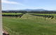 Yarra Valley, Dandenong Ranges Inc. Lunch With Wine,plus Morning Tea,chocolate - thumb 7