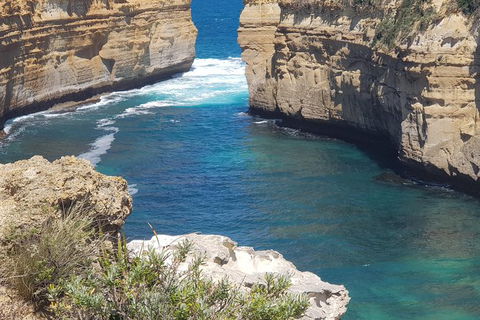 Adventure Sunset Three Day Great Ocean Road Tour - Great Ocean Road Tourism 27