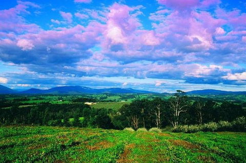 CHEVY CONVERTIBLE Package For 4 -Wine Lunch Cheese & Chocolate From Yarra Valley - Great Ocean Road Tourism 7
