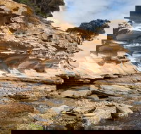 Maria Island premium private photo-oriented day tour from Hobart - Great Ocean Road Tourism