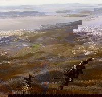 Mt Wellington Half Day Guided Summit Hike - Great Ocean Road Tourism