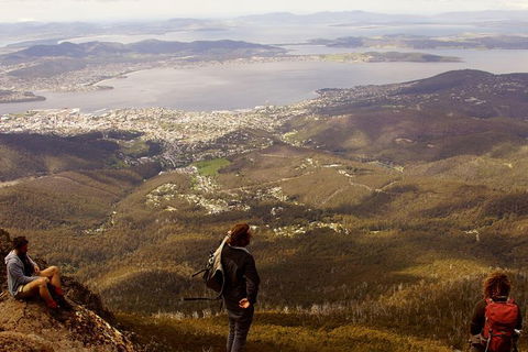 Mt Wellington Half Day Guided Summit Hike - Great Ocean Road Tourism 0