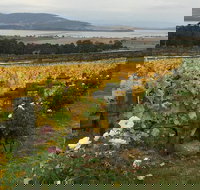 Mona and Wine Experience Tour - Great Ocean Road Tourism