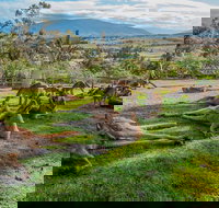 Shore Excursion Hobart's Best In Half A Day - Great Ocean Road Tourism