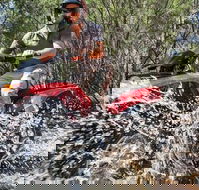 Quad Bike 2-Hour Adventure Freycinet National Park - Great Ocean Road Tourism