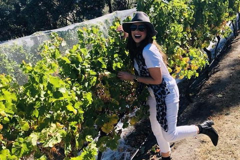 Valleys Of Vino Tour - Great Ocean Road Tourism 1