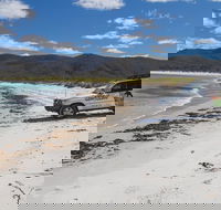 4X4 and Lunch Half Day Bicheno Coastal Mountain - Great Ocean Road Tourism