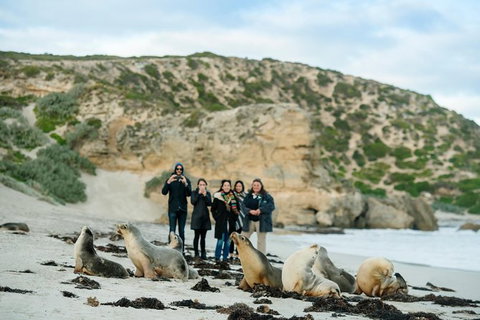 Small-Group Kangaroo Island 4WD Tour From Adelaide - Great Ocean Road Tourism 0