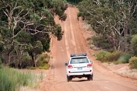 Small-Group Kangaroo Island 4WD Tour From Adelaide - Great Ocean Road Tourism 7