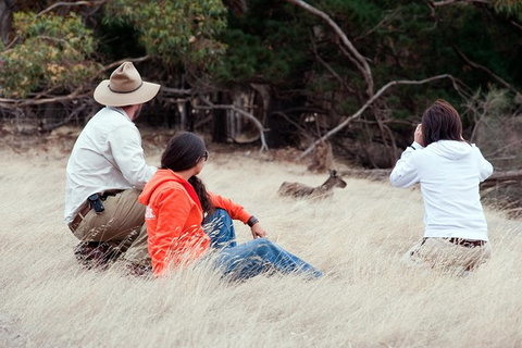 Small-Group Kangaroo Island 4WD Tour From Adelaide - Great Ocean Road Tourism 6
