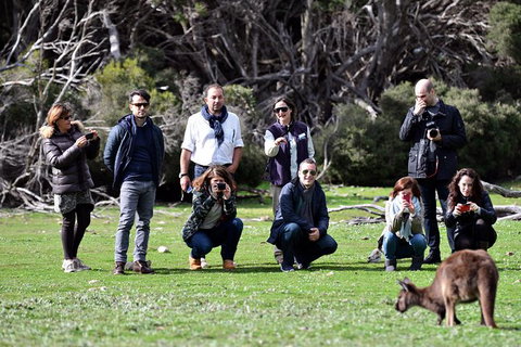 Small-Group Kangaroo Island 4WD Tour From Adelaide - Great Ocean Road Tourism 3
