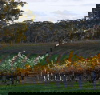 Barossa Valley with Hahndorf Tour from Adelaide - Great Ocean Road Tourism