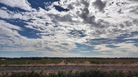 Barossa Valley Full-Day Tour From Adelaide With Maggie Beer Farm - Great Ocean Road Tourism 3