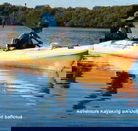 Adelaide Dolphin Sanctuary and Ships Graveyard Kayak Tour - Great Ocean Road Tourism